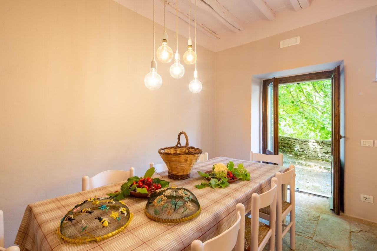 Villa Bagnolo By Vacavilla Cortona Zewnętrze zdjęcie